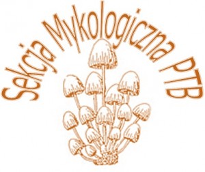 sekcjaPTB